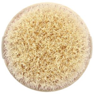 EcoTools, Dry Massage Brush, 1 pc.