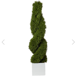 Cypress Spiral Tree - Green