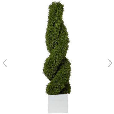 Cypress Spiral Tree - Green
