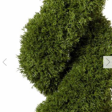 Cypress Spiral Tree - Green - Image 3